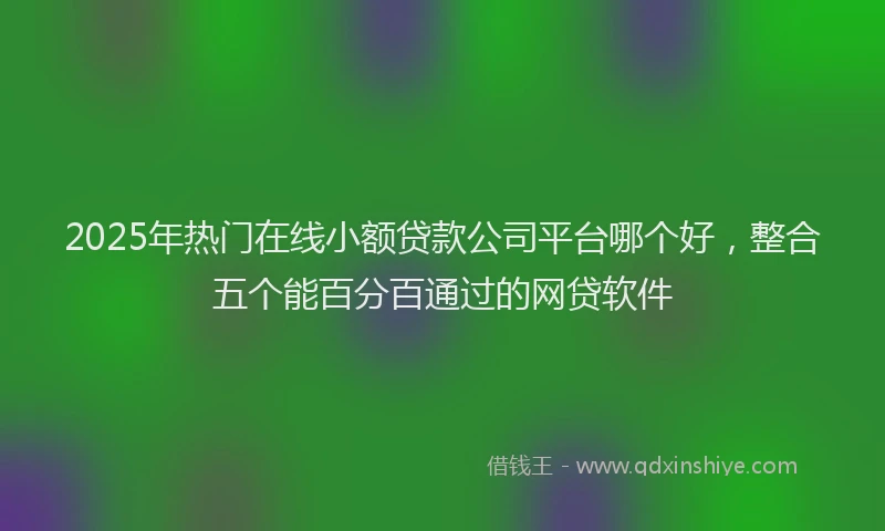 2025年热门在线小额贷款公司平台哪个好，整合五个能百分百通过的网贷软件