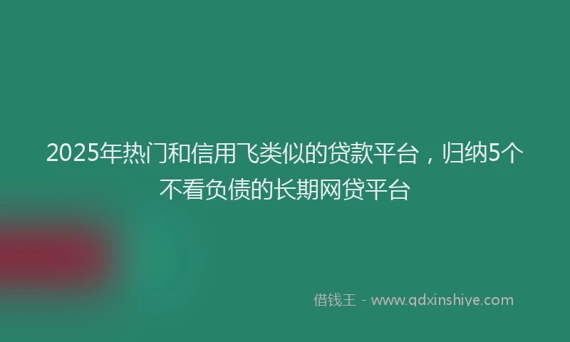 2025年热门和信用飞类似的贷款平台，归纳5个不看负债的长期网贷平台
