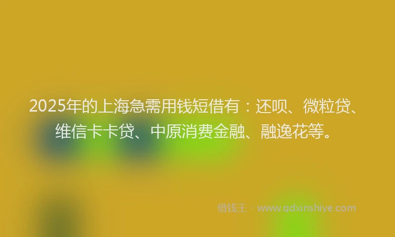 2025年的上海急需用钱短借有：还呗、微粒贷、维信卡卡贷、中原消费金融、融逸花等。