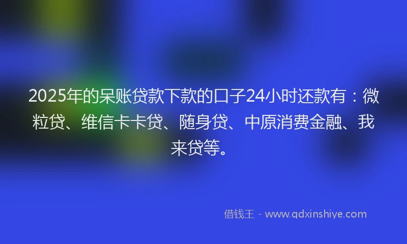 2025年的呆账贷款下款的口子24小时还款有：微粒贷、维信卡卡贷、随身贷、中原消费金融、我来贷等。