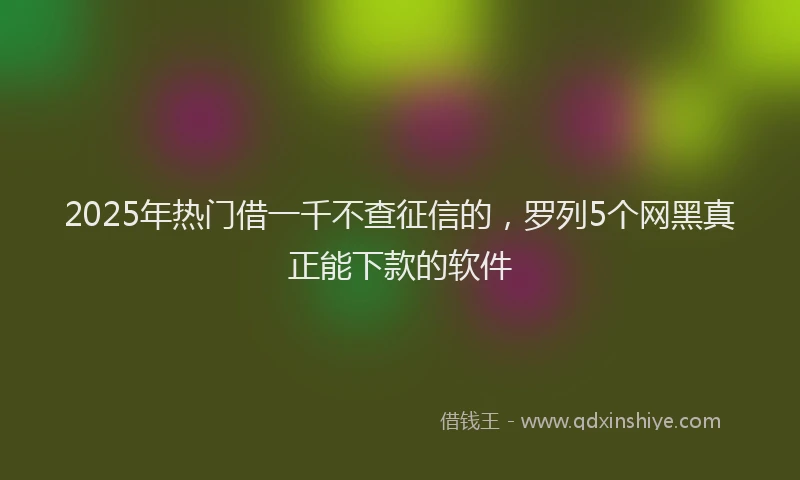 2025年热门借一千不查征信的，罗列5个网黑真正能下款的软件