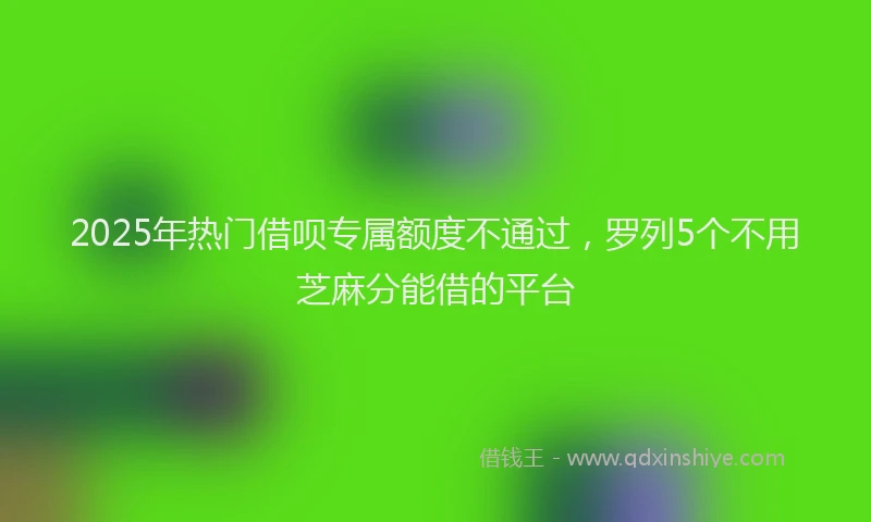 2025年热门借呗专属额度不通过，罗列5个不用芝麻分能借的平台