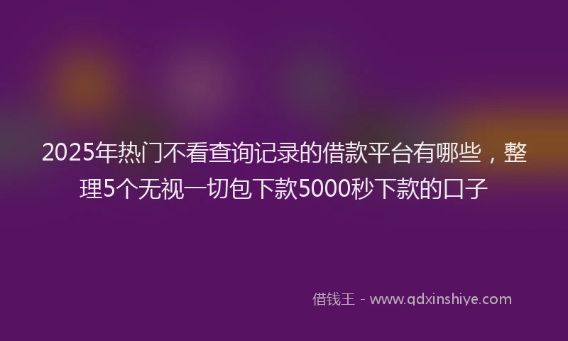 2025年热门不看查询记录的借款平台有哪些，整理5个无视一切包下款5000秒下款的口子
