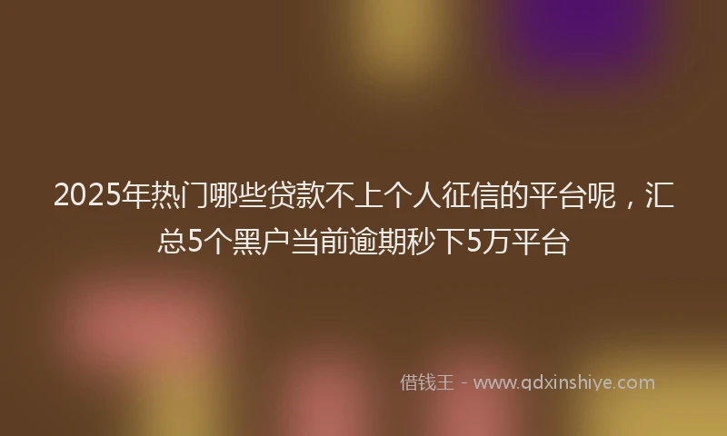 2025年热门哪些贷款不上个人征信的平台呢，汇总5个黑户当前逾期秒下5万平台