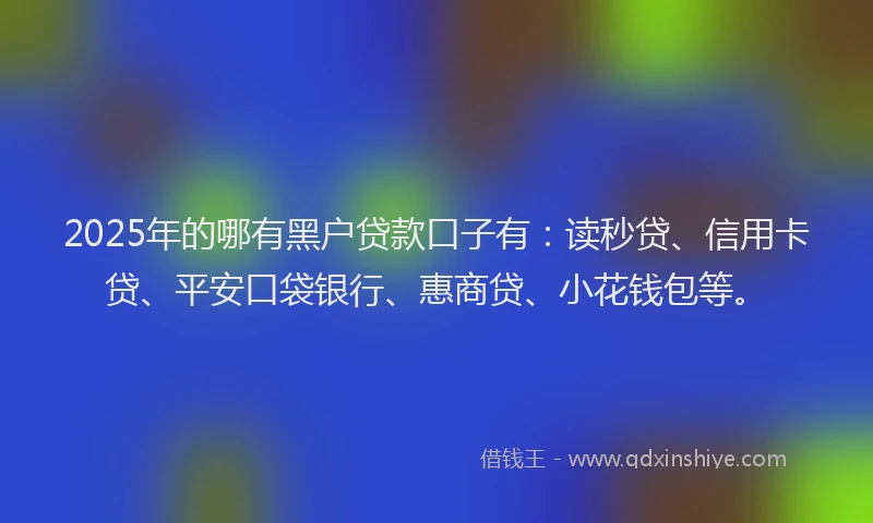 2025年的哪有黑户贷款口子有：读秒贷、信用卡贷、平安口袋银行、惠商贷、小花钱包等。