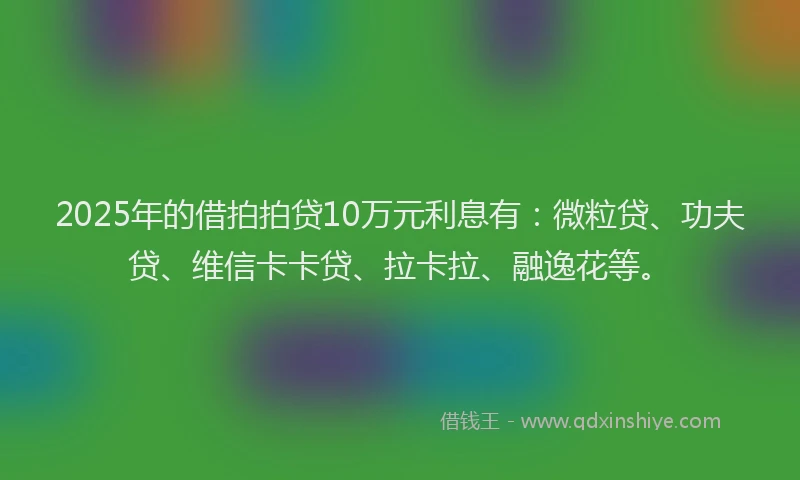 2025年的借拍拍贷10万元利息有：微粒贷、功夫贷、维信卡卡贷、拉卡拉、融逸花等。