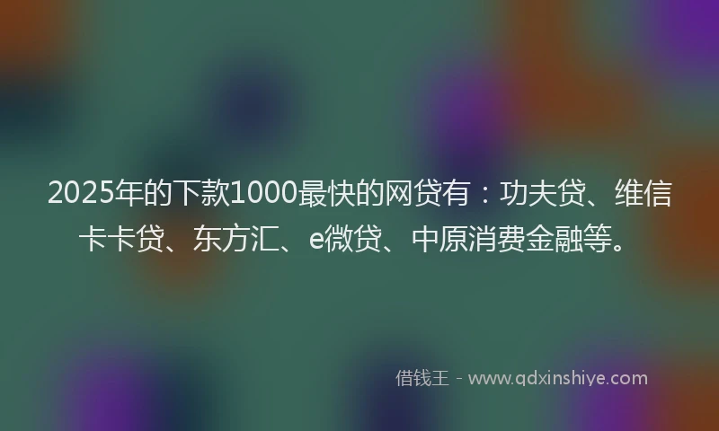 2025年的下款1000最快的网贷有：功夫贷、维信卡卡贷、东方汇、e微贷、中原消费金融等。