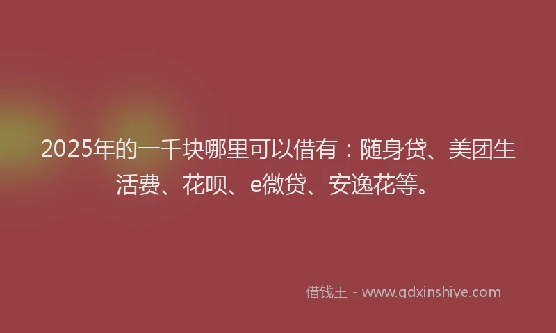 2025年的一千块哪里可以借有：随身贷、美团生活费、花呗、e微贷、安逸花等。