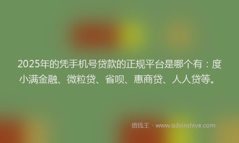 2025年的凭手机号贷款的正规平台是哪个有：度小满金融、微粒贷、省呗、惠商贷、人人贷等。