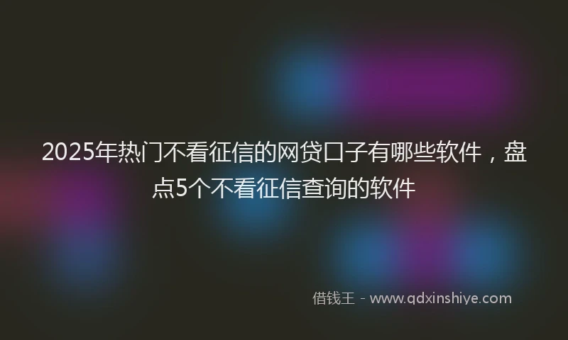 2025年热门不看征信的网贷口子有哪些软件，盘点5个不看征信查询的软件