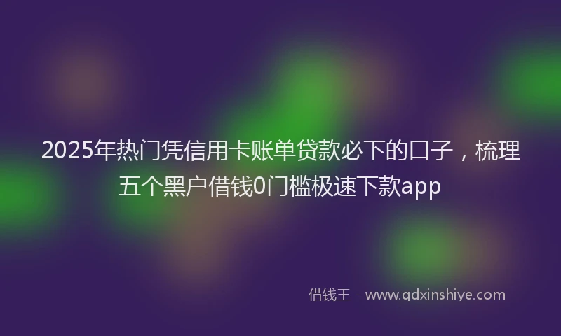 2025年热门凭信用卡账单贷款必下的口子，梳理五个黑户借钱0门槛极速下款app