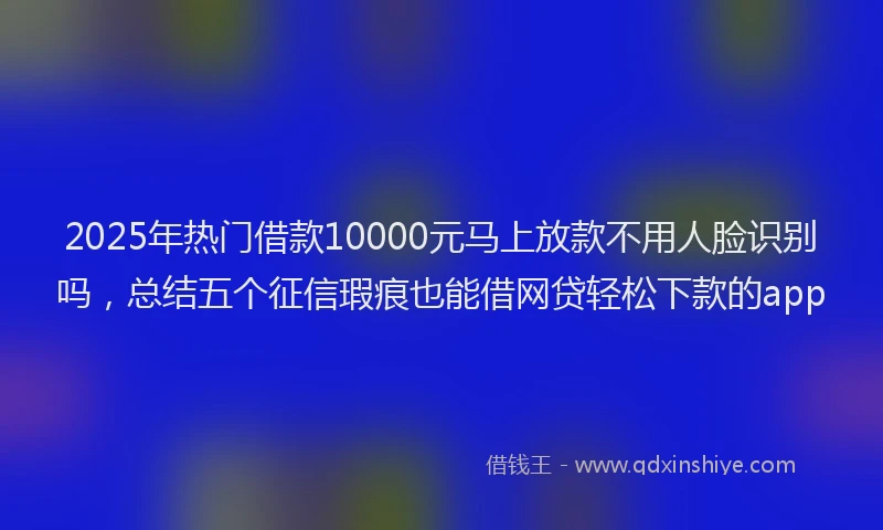 2025年热门借款10000元马上放款不用人脸识别吗，总结五个征信瑕疵也能借网贷轻松下款的app
