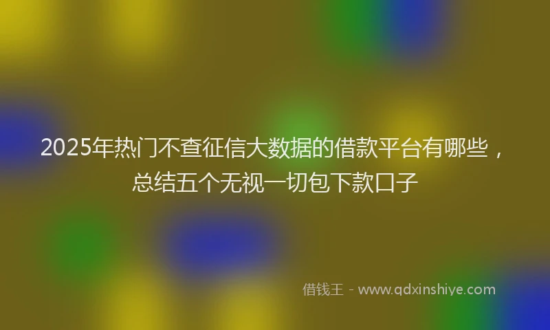 2025年热门不查征信大数据的借款平台有哪些，总结五个无视一切包下款口子