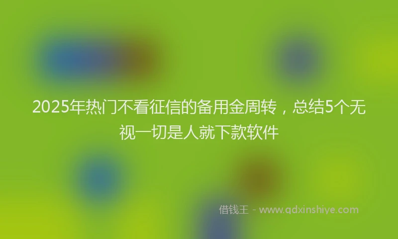 2025年热门不看征信的备用金周转，总结5个无视一切是人就下款软件