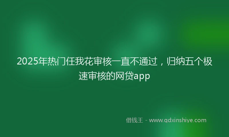 2025年热门任我花审核一直不通过，归纳五个极速审核的网贷app