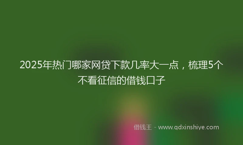 2025年热门哪家网贷下款几率大一点，梳理5个不看征信的借钱口子