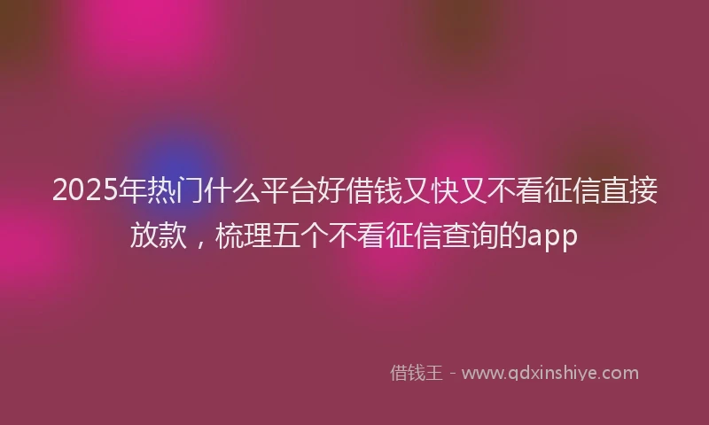 2025年热门什么平台好借钱又快又不看征信直接放款，梳理五个不看征信查询的app
