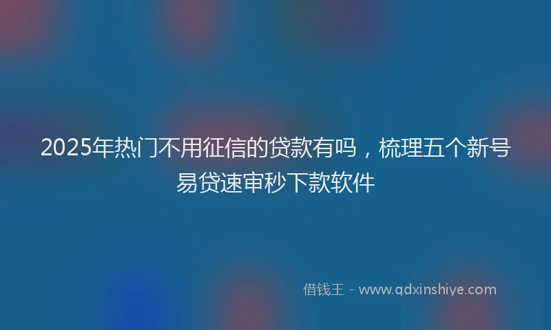 2025年热门不用征信的贷款有吗，梳理五个新号易贷速审秒下款软件