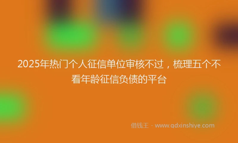 2025年热门个人征信单位审核不过，梳理五个不看年龄征信负债的平台