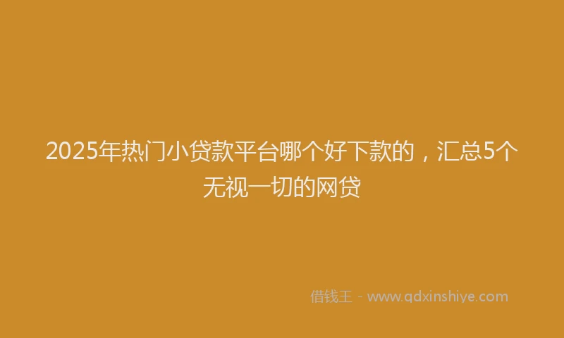 2025年热门小贷款平台哪个好下款的，汇总5个无视一切的网贷