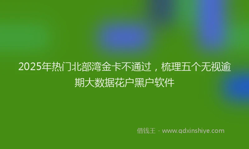 2025年热门北部湾金卡不通过，梳理五个无视逾期大数据花户黑户软件
