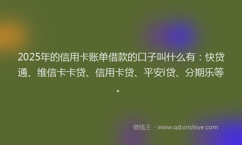 2025年的信用卡账单借款的口子叫什么有：快贷通、维信卡卡贷、信用卡贷、平安i贷、分期乐等。