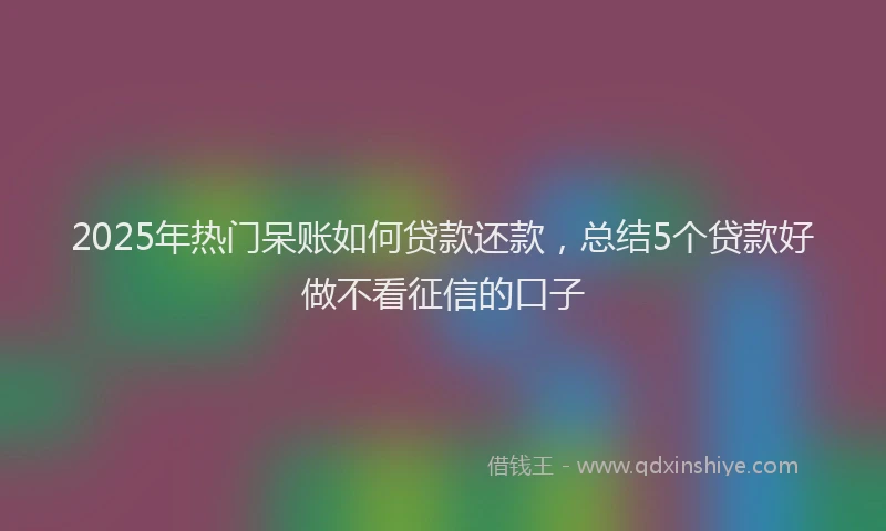 2025年热门呆账如何贷款还款，总结5个贷款好做不看征信的口子