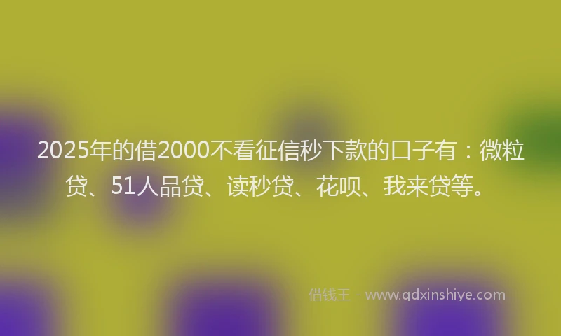 2025年的借2000不看征信秒下款的口子有：微粒贷、51人品贷、读秒贷、花呗、我来贷等。