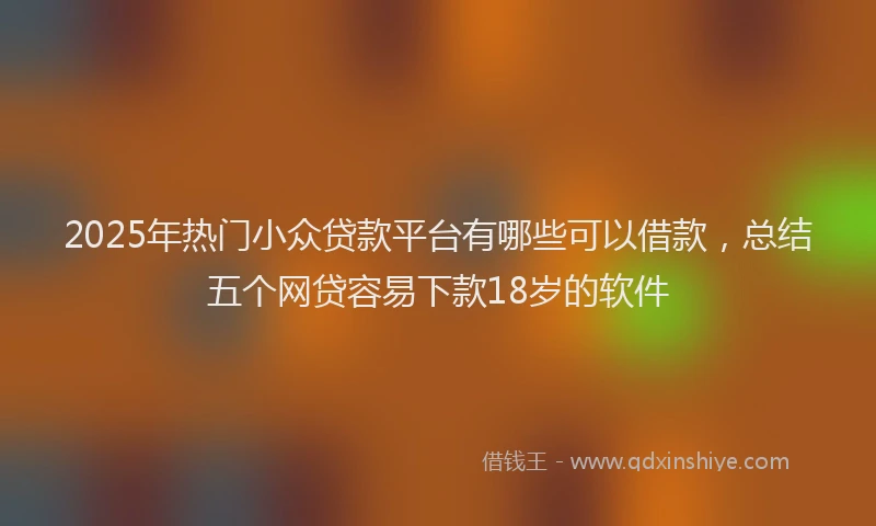 2025年热门小众贷款平台有哪些可以借款，总结五个网贷容易下款18岁的软件