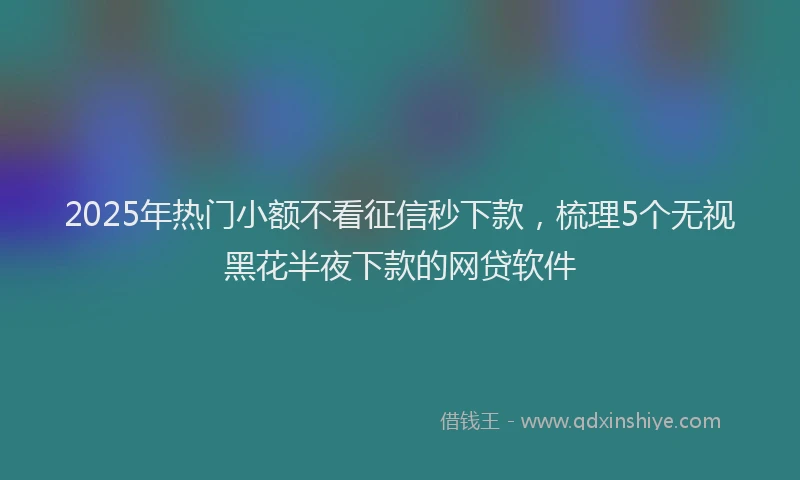2025年热门小额不看征信秒下款,梳理5个无视黑花半夜下款的网贷软件