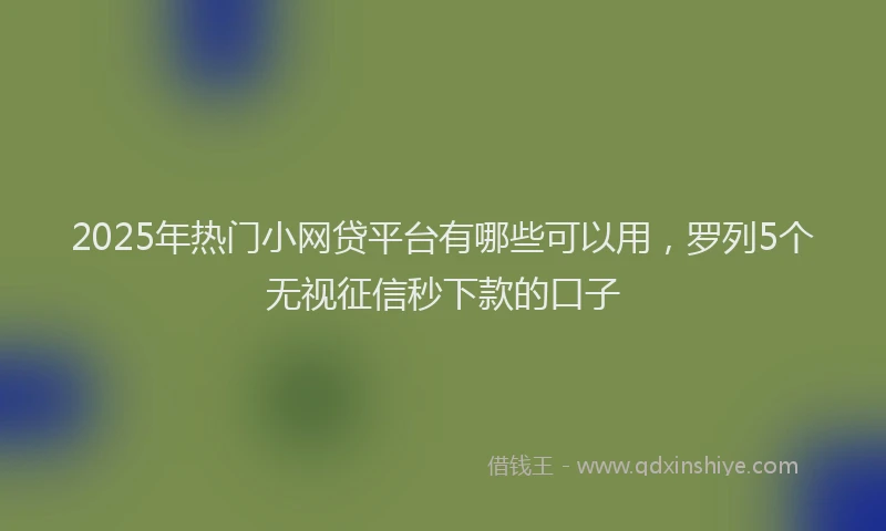 2025年热门小网贷平台有哪些可以用，罗列5个无视征信秒下款的口子