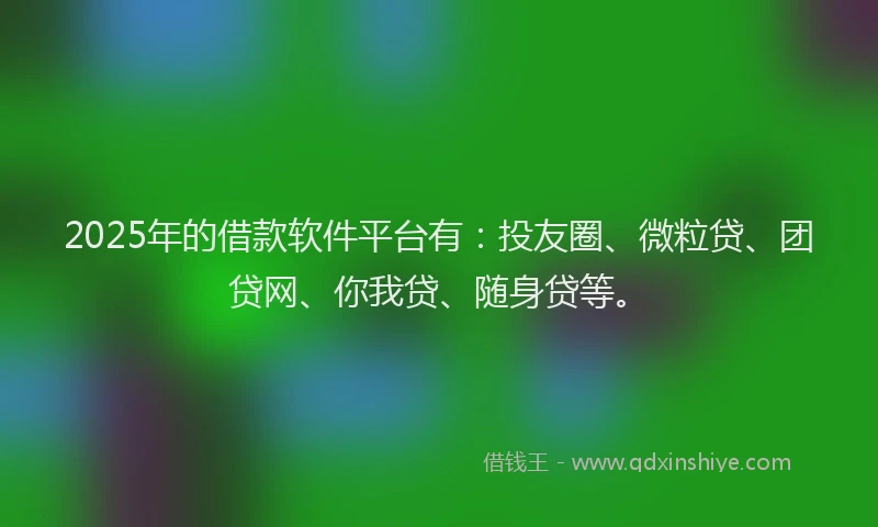 2025年的借款软件平台有：投友圈、微粒贷、团贷网、你我贷、随身贷等。