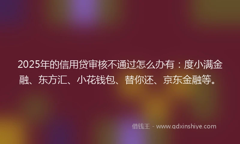 2025年的信用贷审核不通过怎么办有：度小满金融、东方汇、小花钱包、替你还、京东金融等。