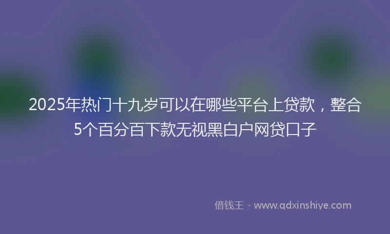 2025年热门十九岁可以在哪些平台上贷款，整合5个百分百下款无视黑白户网贷口子
