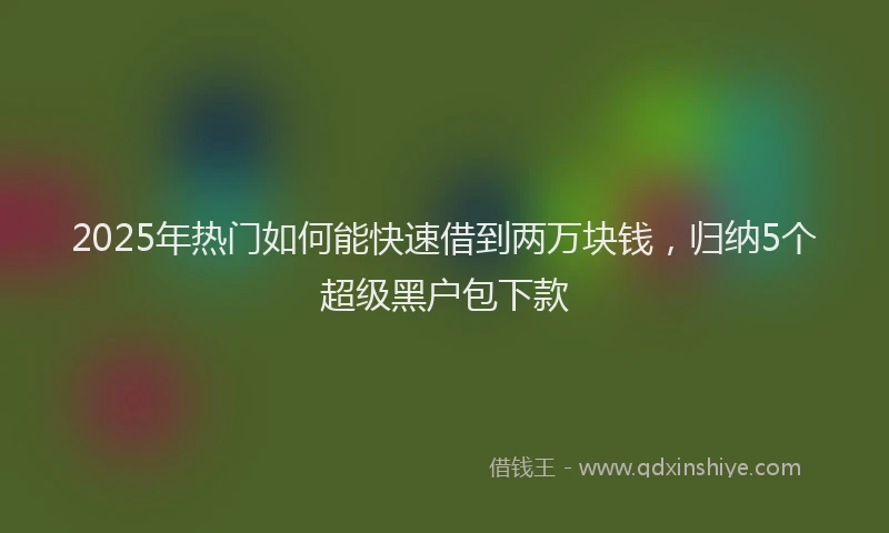 2025年热门如何能快速借到两万块钱，归纳5个超级黑户包下款