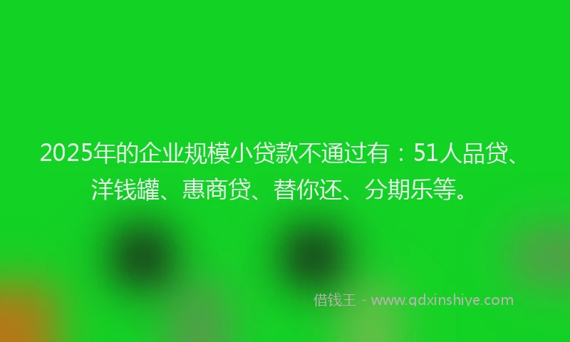 2025年的企业规模小贷款不通过有：51人品贷、洋钱罐、惠商贷、替你还、分期乐等。
