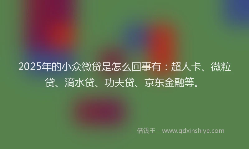 2025年的小众微贷是怎么回事有：超人卡、微粒贷、滴水贷、功夫贷、京东金融等。