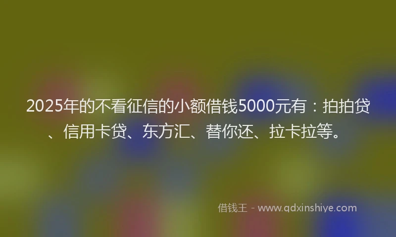 2025年的不看征信的小额借钱5000元有：拍拍贷、信用卡贷、东方汇、替你还、拉卡拉等。