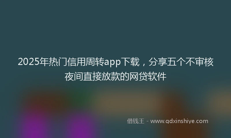 2025年热门信用周转app下载，分享五个不审核夜间直接放款的网贷软件