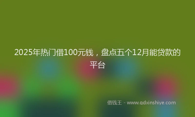 2025年热门借100元钱，盘点五个12月能贷款的平台