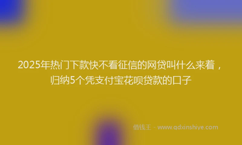 2025年热门下款快不看征信的网贷叫什么来着，归纳5个凭支付宝花呗贷款的口子