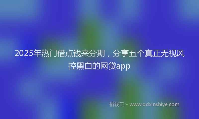 2025年热门借点钱来分期，分享五个真正无视风控黑白的网贷app