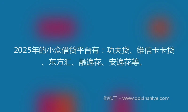 2025年的小众借贷平台有：功夫贷、维信卡卡贷、东方汇、融逸花、安逸花等。