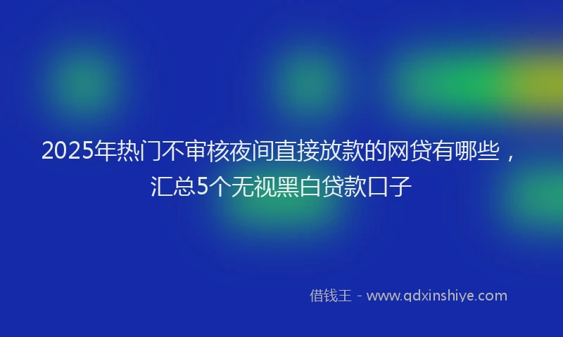 2025年热门不审核夜间直接放款的网贷有哪些，汇总5个无视黑白贷款口子