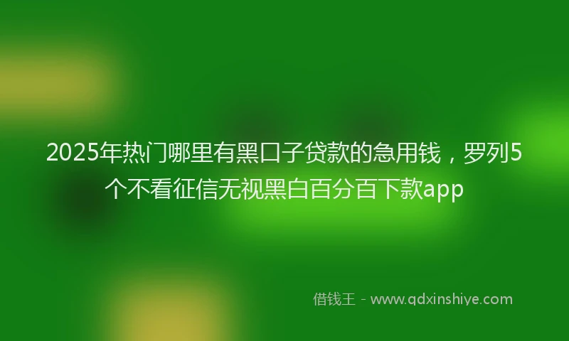 2025年热门哪里有黑口子贷款的急用钱，罗列5个不看征信无视黑白百分百下款app