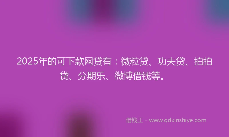 2025年的可下款网贷有：微粒贷、功夫贷、拍拍贷、分期乐、微博借钱等。
