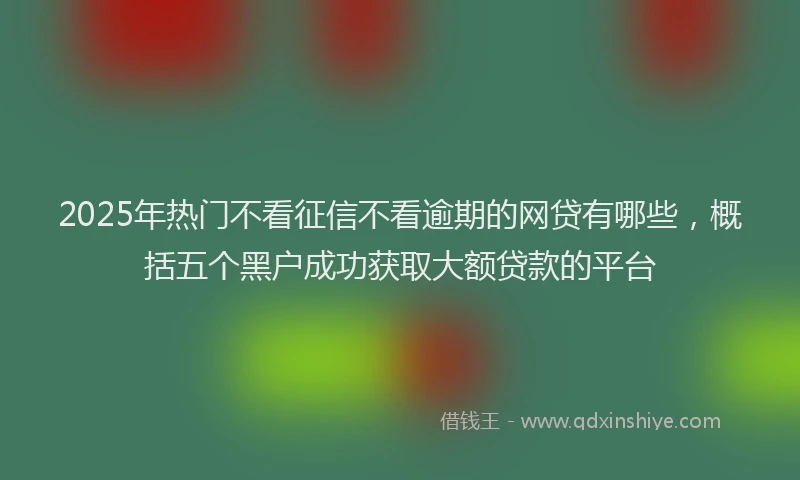 2025年热门不看征信不看逾期的网贷有哪些，概括五个黑户成功获取大额贷款的平台