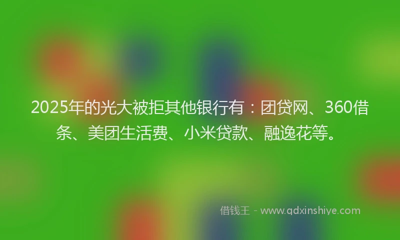 2025年的光大被拒其他银行有：团贷网、360借条、美团生活费、小米贷款、融逸花等。