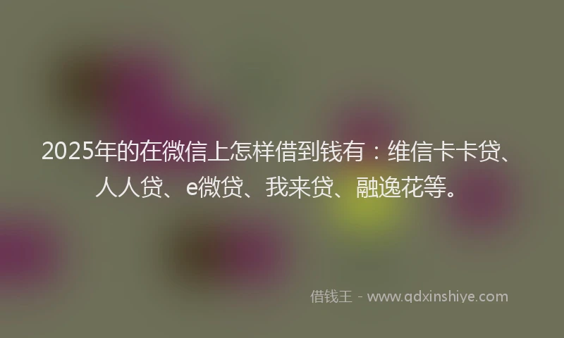 2025年的在微信上怎样借到钱有：维信卡卡贷、人人贷、e微贷、我来贷、融逸花等。