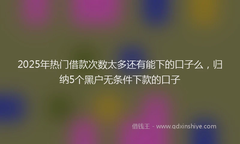 2025年热门借款次数太多还有能下的口子么，归纳5个黑户无条件下款的口子